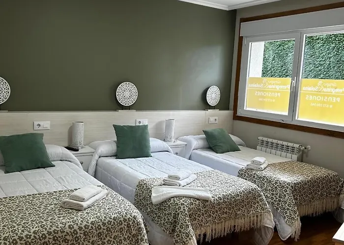 A Solaina Pensión O Pedrouzo